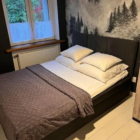 Stylowy Apartament 30m2 We Wroclawskiej Kamienicy *